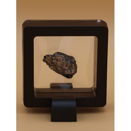 Météorite fer / nickel Chaco